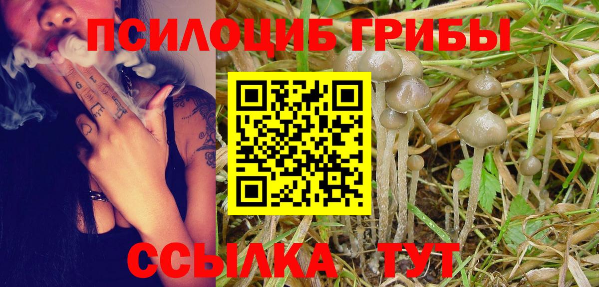 наркота  Псилоцибиновые грибы мицелий  Вход с VPN  Соликамск 
